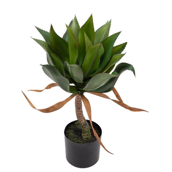 acquista Plante d'agave artificielle H71 cm avec pot