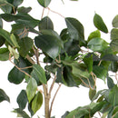 Pianta Artificiale Ficus con Vaso H 183 cm-3