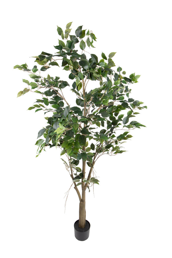 Ficus artificiel avec pot H 183 cm acquista