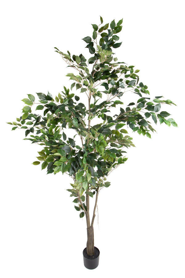 Ficus artificiel avec pot H 213 cm sconto