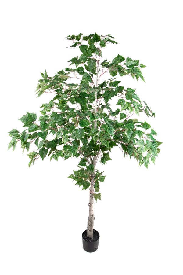 Plante de bouleau artificielle avec vase H 183 cm online