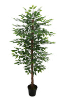 Pianta Artificiale Ficus Tree con Vaso 170 cm -1