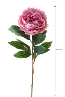 Set 12 Peonia innevata H76 cm Rosa-2