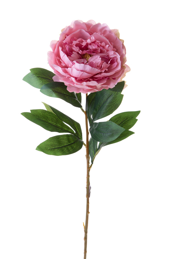 prezzo Set 12 Snow Peony H76 cm Rose