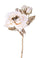 Set 6 Roses Anglaises à Paillettes H48cm Crème