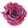 Set 24 Rose avec Clip.Ø15 cm Rouge