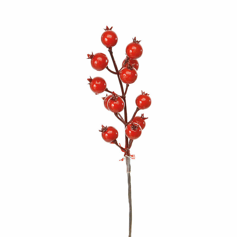 Set 24 Pick Piricantha H22 cm Rosso-1